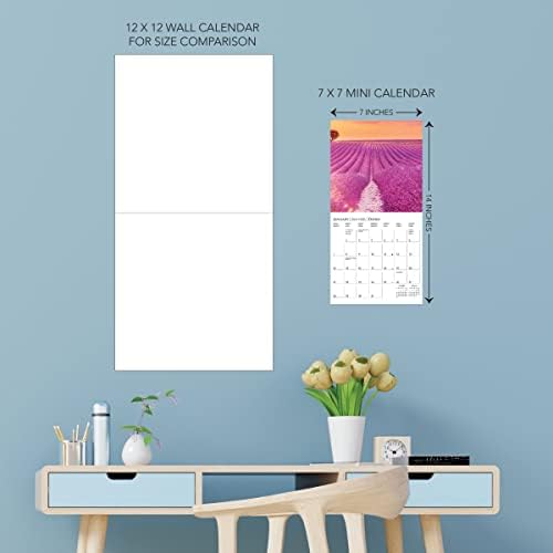 Graphique 2024 Provence Mini Wall Calendar | 7 ”x 7” | נייר עבה | מארגן בית ומשרדים | רשת חודשית גדולה